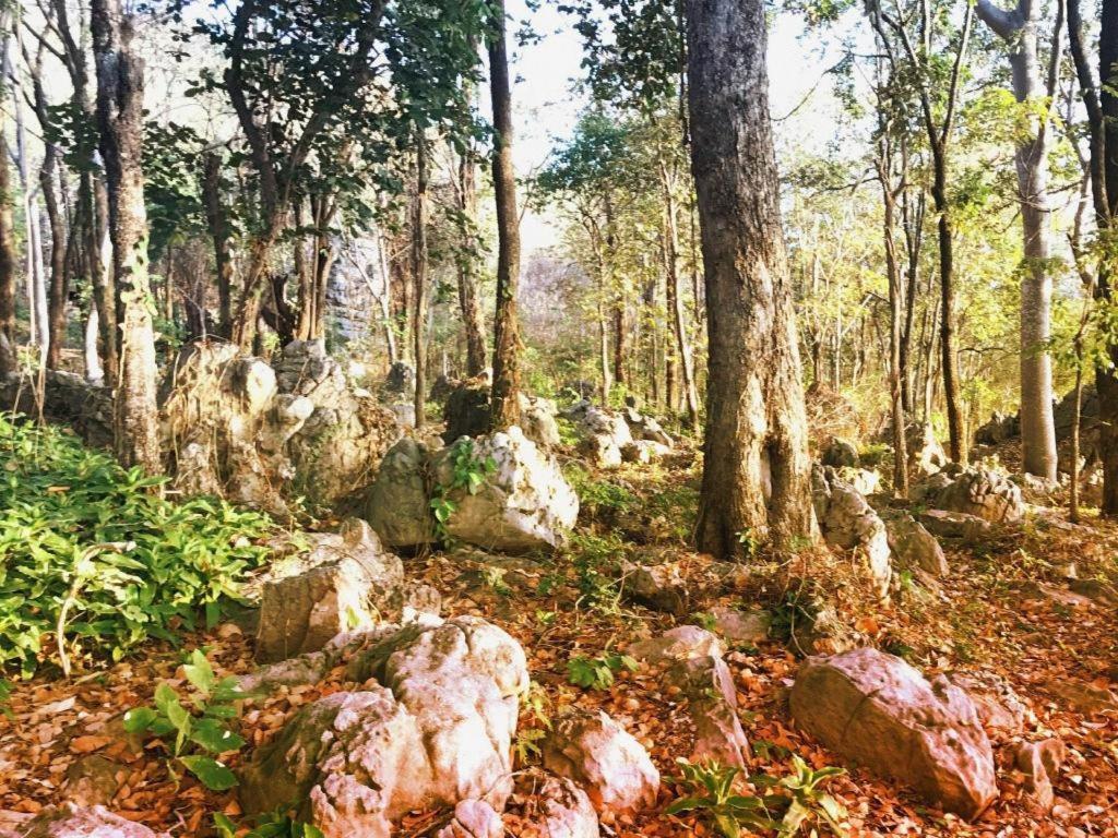 Varee Valley Resort And Restaurant コーンケーン エクステリア 写真